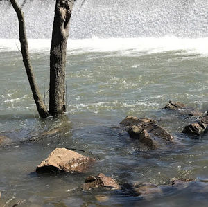 Meet your Posher, Ian